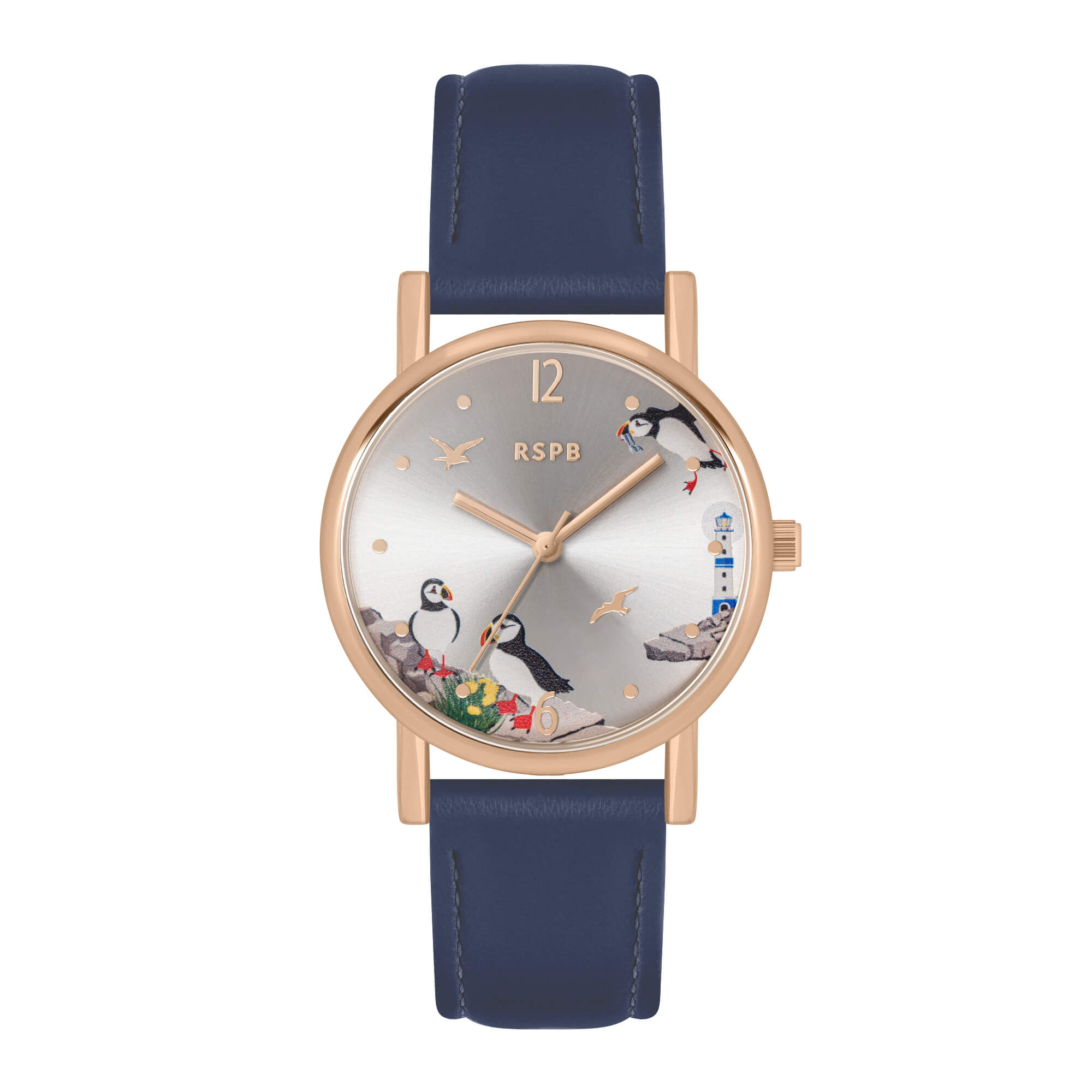 TKRSPB01 Tikkers RSPB Blue Leather Strap TKRSPB01